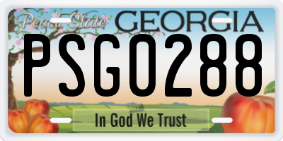 GA license plate PSG0288