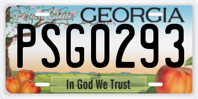 GA license plate PSG0293