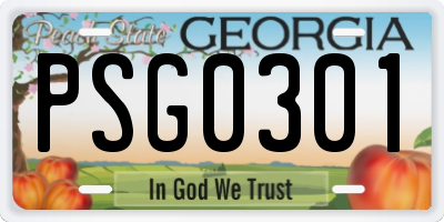GA license plate PSG0301