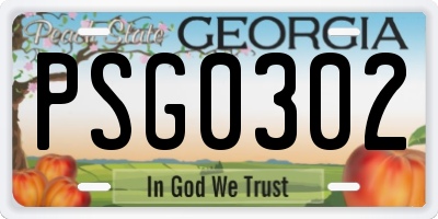 GA license plate PSG0302