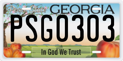 GA license plate PSG0303