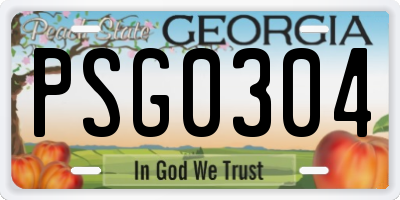 GA license plate PSG0304