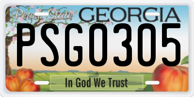 GA license plate PSG0305