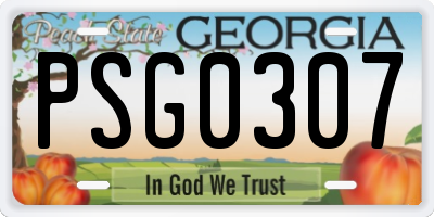 GA license plate PSG0307