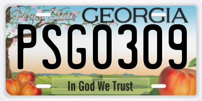 GA license plate PSG0309