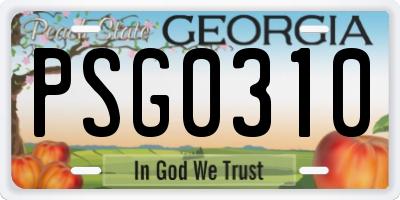 GA license plate PSG0310