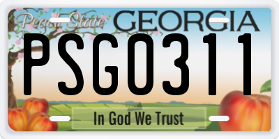 GA license plate PSG0311