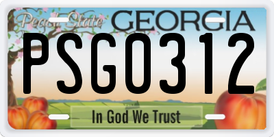 GA license plate PSG0312