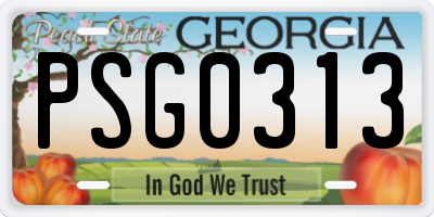 GA license plate PSG0313