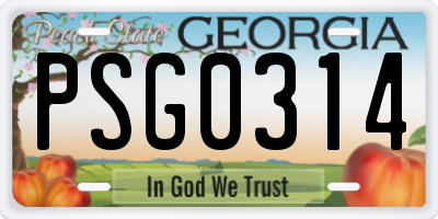 GA license plate PSG0314