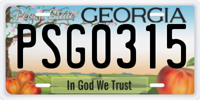 GA license plate PSG0315
