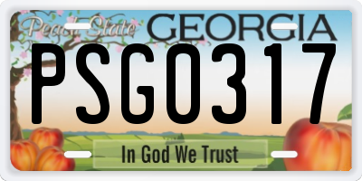 GA license plate PSG0317