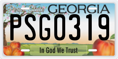 GA license plate PSG0319