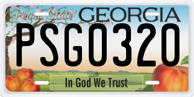 GA license plate PSG0320