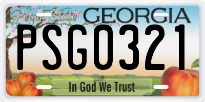 GA license plate PSG0321