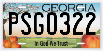 GA license plate PSG0322