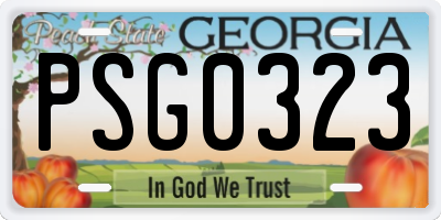 GA license plate PSG0323