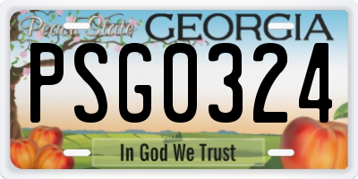 GA license plate PSG0324