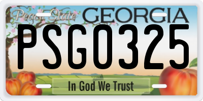 GA license plate PSG0325