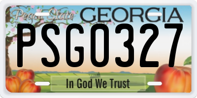 GA license plate PSG0327