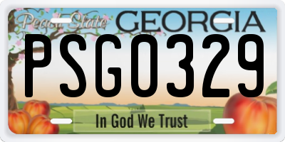 GA license plate PSG0329