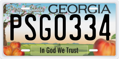 GA license plate PSG0334