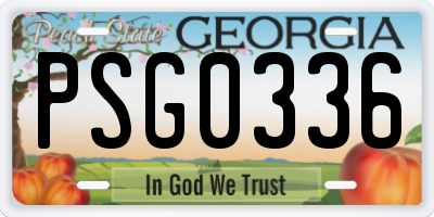 GA license plate PSG0336