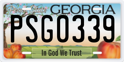 GA license plate PSG0339
