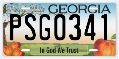 GA license plate PSG0341