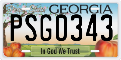 GA license plate PSG0343