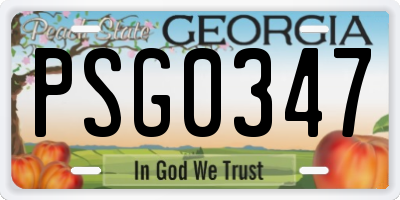GA license plate PSG0347