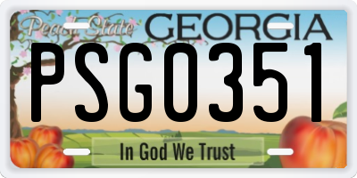 GA license plate PSG0351