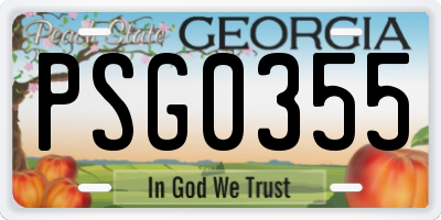 GA license plate PSG0355
