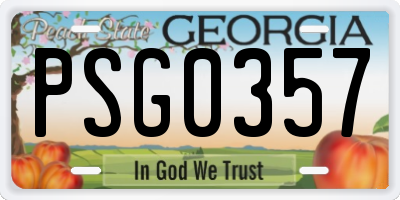 GA license plate PSG0357