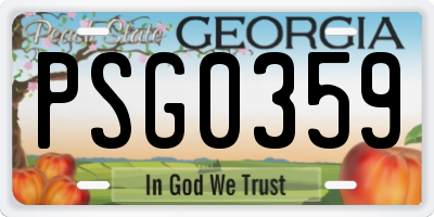 GA license plate PSG0359