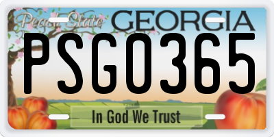 GA license plate PSG0365