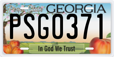 GA license plate PSG0371