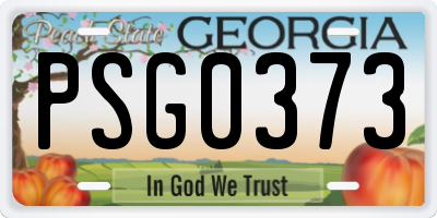 GA license plate PSG0373