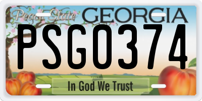 GA license plate PSG0374