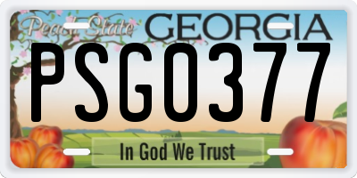 GA license plate PSG0377
