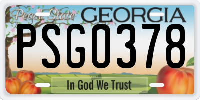 GA license plate PSG0378