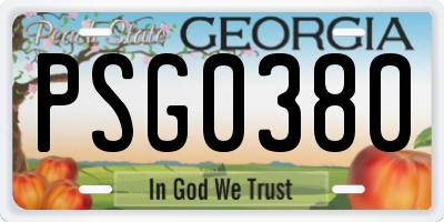 GA license plate PSG0380