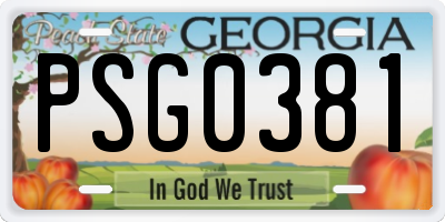 GA license plate PSG0381