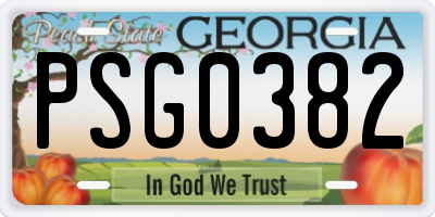 GA license plate PSG0382