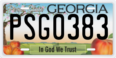 GA license plate PSG0383