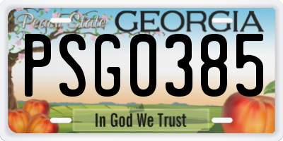 GA license plate PSG0385