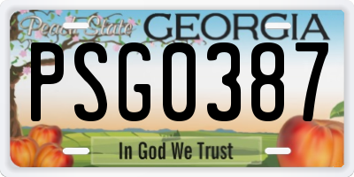 GA license plate PSG0387