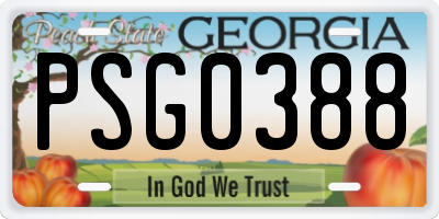 GA license plate PSG0388