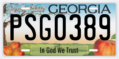 GA license plate PSG0389