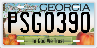 GA license plate PSG0390